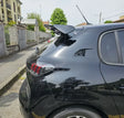 Spoiler GT miniatura 2